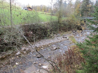 Das Bild zeigt den Turbachbach.